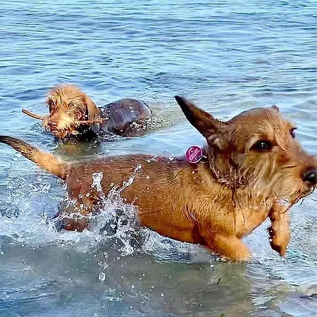 Obj 84 Meerblick Fuer 2 Bis 3 Personen Strandnah, Wlan Lübeck